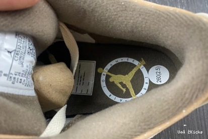 9353 379 StreetReady Jordan 3 CT8532- “Palomino” Air 0902